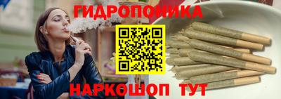 стаф Обнинск