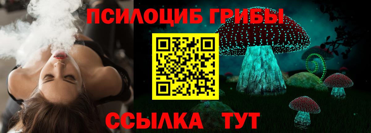 Галлюциногенные грибы Cubensis Сухой Лог